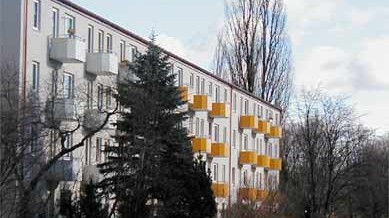 Münchner Straßen: Das Gute: Die bezahlbaren Wohnungen vergeuden keinen Quadratmeter an Platz und vor der Haustür breitet sich Grün großzügig aus.