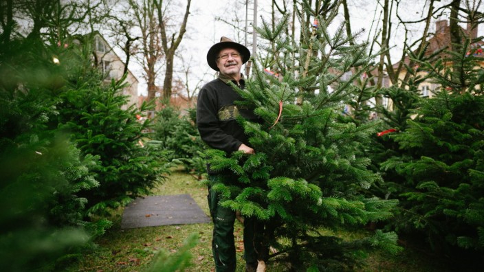 Weihnachten: Gerhard Hoheneder verkauft in Pullach etwa so viele Christbäume wie im Vorjahr.
