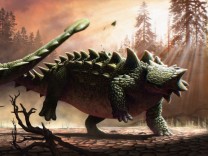 Paläontologie: Wenn sich Saurier prügeln