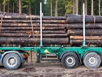 Brennholz-Diebstahl: „Holz ist das neue Toilettenpapier“