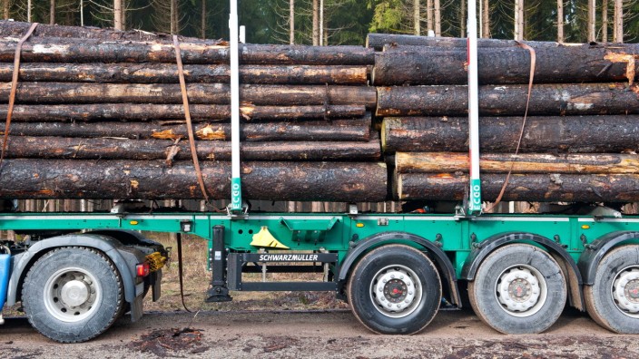 Brennholz-Diebstahl: Aus den Wäldern in Deutschland verschwinden ganze Holzstapel. Die Polizei hat deshalb die Kontrollen von Baumstammtransportern verschärft.
