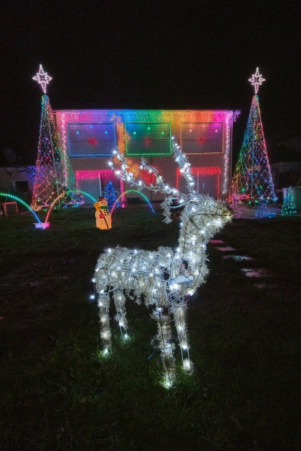 Weihnachtsillumination: Leuchtende Tiere stehen rund um das Haus, aber nur selten sind alle Lämpchen gleichzeitig an.