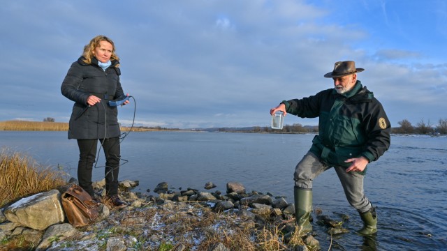 Oder: Bundesumweltministerin Steffi Lemke lässt sich in Brandenburg im Nationalpark Unteres Odertal den Zustand des Flusswassers erklären.