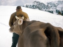 „Drei Winter“ im Kino: Lieder der Berge