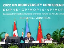 Weltnaturkonferenz: Die Welt hat ein neues Naturschutzabkommen