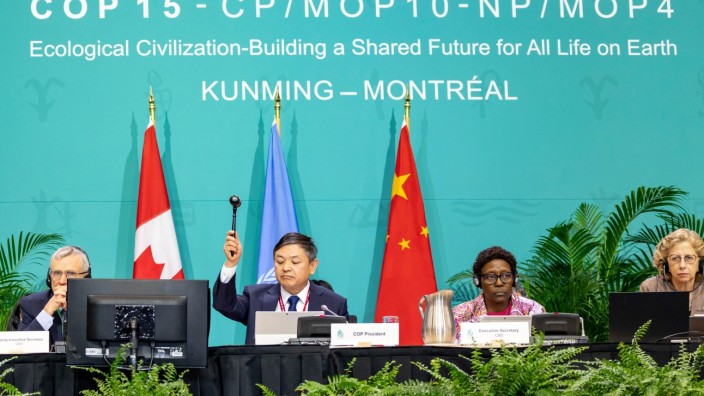 Weltnaturkonferenz: Der Hammer in der Hand des chinesischen Umweltministers Huang Runqiu fällt, das Abkommen ist besiegelt - auch gegen Widerstände.