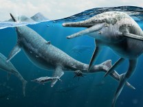 Paläontologie: Die Wiege der Ichthyosaurier