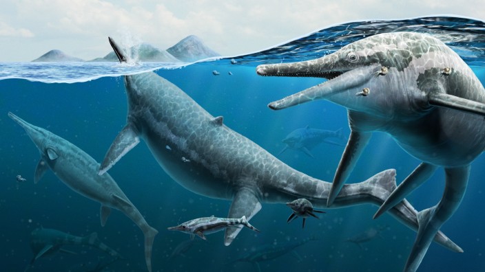 Paläontologie: So könnte es ausgesehen haben, wenn erwachsene Ichthyosaurier mit ihren Neugeborenen schwammen.