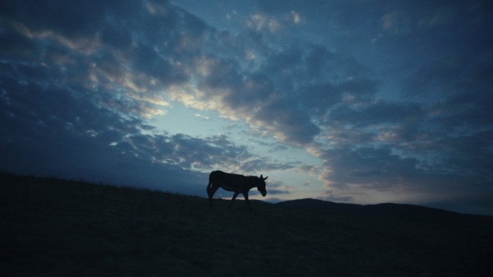 Neu in Kino & Streaming: Dieser Esel liebt die Freiheit - Szene aus Jerzy Skolimowskis Film "EO".