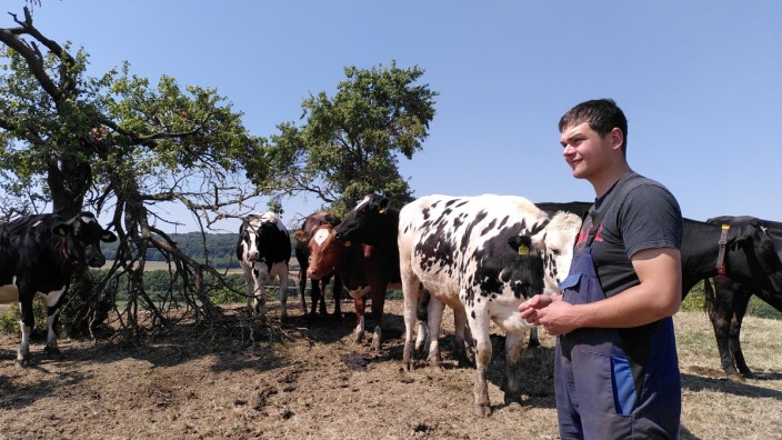 Landwirtschaft: Peter Tillmann bewirtschaftet zusammen mit seinem Vater Antonius einen Milchviehbetrieb in Ostwestfalen.