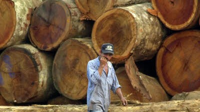 Tropenholz mit Umweltzertifikat: undefined