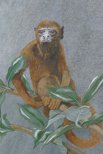 Kunst im Buch: Der Rote Brüllaffe, "ein inkontinentes Tier, das viel, häufig und bei jeder Gelegenheit ausscheidet": So beschrieb Claude Lévi-Strauss diese Affenart. Anita Albus zitiert den Ethnologen und macht sich ein eigenes Bild.