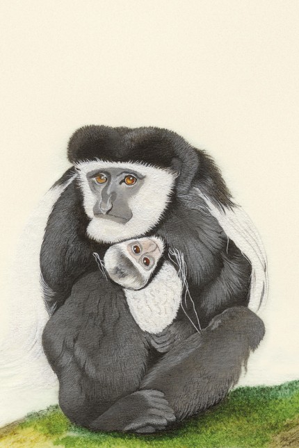 Kunst im Buch: Der Guereza, auch "Stummelaffe" genannt, macht es sich gern auf Baumriesen gemütlich, deren Äste mit Moosen gepolstert sind. Hier ein Bild von Anita Albus aus dem Band "Affentheater".