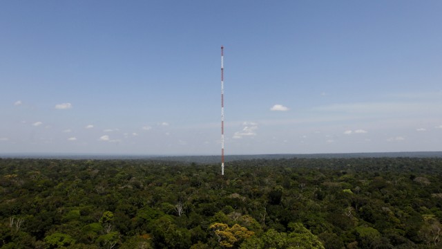 Klimapolitik: Das 325 Meter hohe ATTO-Observatorium, umgeben vom brasilianischen Regenwald.