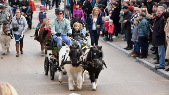 200 Jahre Tradition: Kleine Menschen werden von kleinen Ponys durch Türkenfeld gezogen.