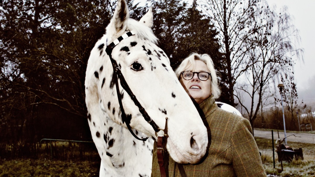 Riding with Karen Duve: Luck on Earth?  On horseback!  – Company