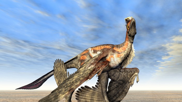 Paläontologie: Ein vierflügeliger Microraptor im Computermodell.