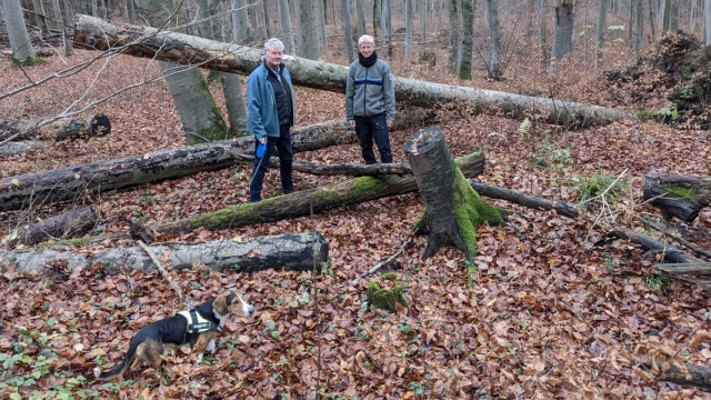 Kottgeisering: Robert Bocksberger (links) und Gero Brehm im Schönwald bei Kottgeisering. Vorne links Hund Arthus, eine Dachsbracke.