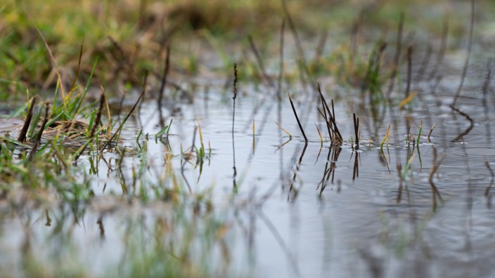Wetter: Überschwemmt sind vor allem landwirtschaftliche Flächen wie Wiesen oder Felder.