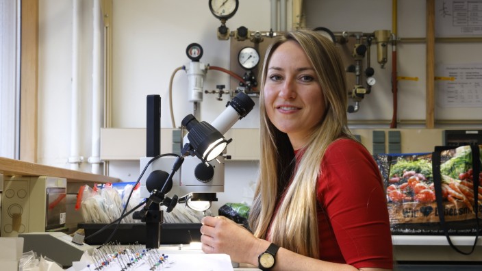 Biodiversität: Julia Schmack ist Spezialistin im Bereich Insektenforschung, ihr Forschungsschwerpunkt ist die Wespenökologie.