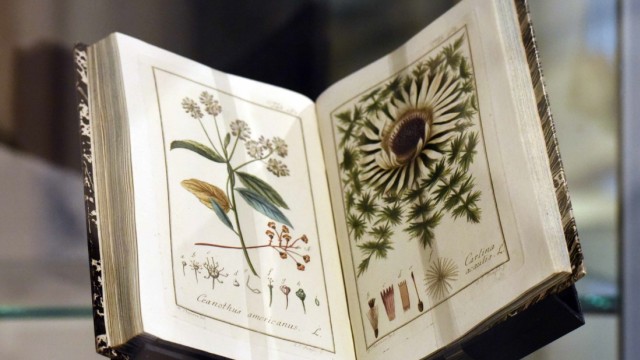 Ausstellung in Altomünster: Johann Zorn: "Icones plantarum medicinalium" mit "Abbildungen von Arzneygewächsen", 1779-1784.