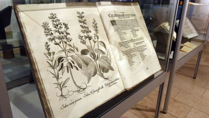 Ausstellung in Altomünster: Der berühmte "Hortus Eystettensis", Neudruck der Ausgabe von 1613.