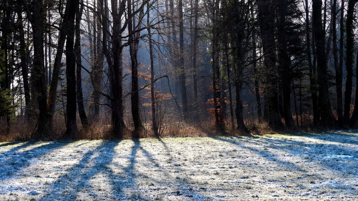 Winter im Landkreis Ebersberg: Blick ins Atteltal bei Straußdorf auf eine frostige Landschaft.