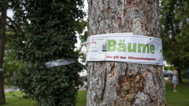 Ottobrunn: Die Bürgerinitiative Zaunkönigstraße kämpft gegen die Nachverdichtung und die Fällung von etwa 70 Bäumen.
