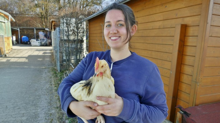 Tierquälerei: Das Gefieder ist immer noch ganz gelb: Tierpflegerin Eva Koppe zeigt den geretteten Hahn.