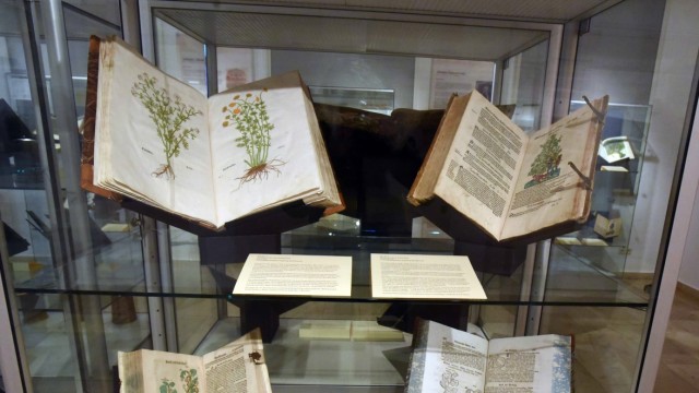 SZ-Kulturpreis Tassilo: Aktuell ist im Klostermuseum eine Ausstellung über Heilpflanzen zu sehen.