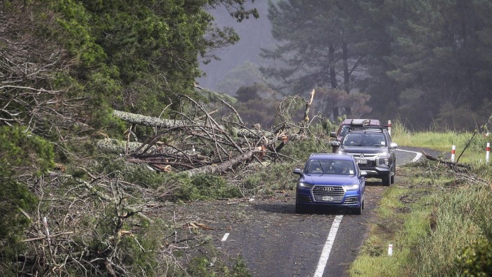 Zyklon "Gabrielle": Autos weichen umgestürzten Bäumen auf einer Straße in Cook's Beach, östlich von Auckland, aus.