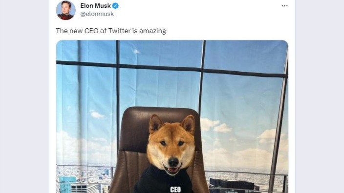 Social Media: Am Mittwoch postet der Twitter-Chef das Bild eines Hundes, der den Platz auf dem Twitter-Chefsessel eingenommen hat. "Der neue CEO von Twitter ist fantastisch", schrieb Elon Musk dazu.