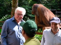 Bundespräsident in Malaysia: Achtung, Affe: Edwin zwingt Steinmeier zur Flucht