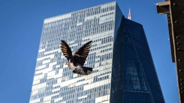 Banken: Eine Taube hebt vor Zentrale der Europäischen Zentralbank in Frankfurt am Main ab.