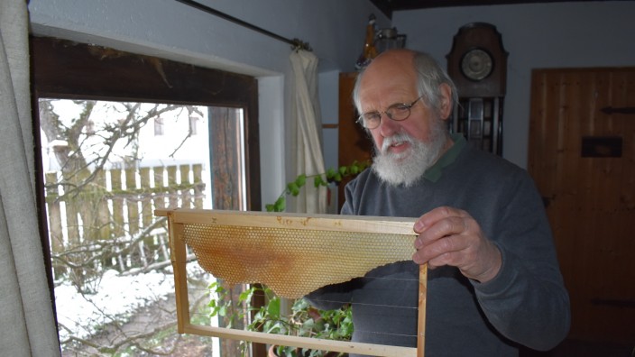 Naturschutz: Christoph Richert mit dem Modell einer hängenden Wabe. Oft gibt er den Bienen eine Bauvorlage in Form eines Wachsriegels, an den sie dann anbauen können. Diese Wachsriegel fertigt er aus den abgeworfenen Wabendeckeln frisch geschlüpfter Bienen - denn dieses Wachs ist pestizidfrei.