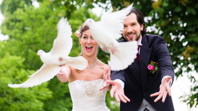 Tauben in Städten: Weiße Tauben sind bei Hochzeiten noch immer beliebt als Symbol für die sich auf ewig liebenden Turteltauben.
