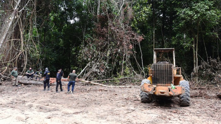 Brasilien: Immer wieder stoßen Brasiliens Behörden auf illegale Abholzaktionen im Regenwald, wie hier in Pacajá.
