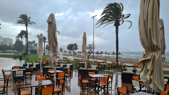 Unwetter: Starke Winde trafen die Mittelmeerinsel. Die Palmen biegen sich, einige Dächer wurden abgedeckt. Nun wird aufgeräumt.