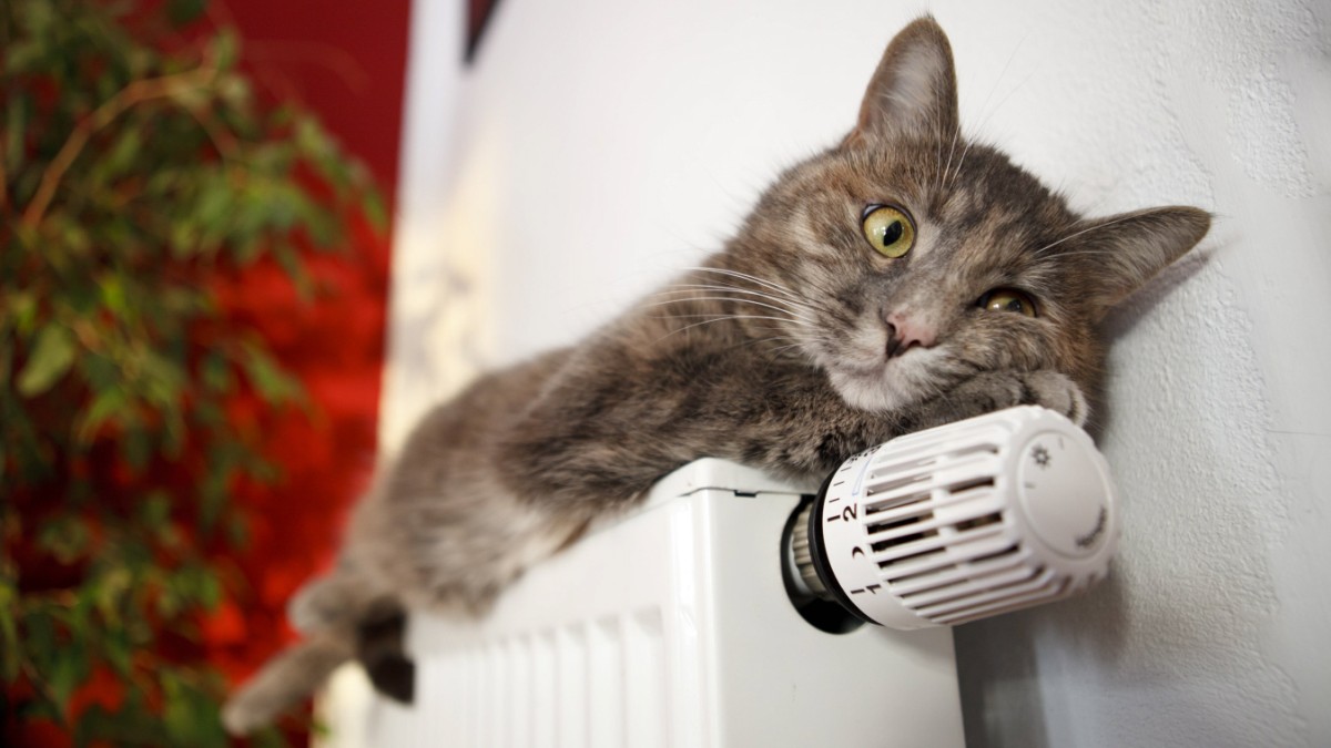 Heat Pumps: Social Cold Won’t Stop Global Warming – Economy