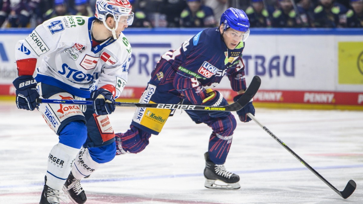 German ice hockey league: championship games without champions – sport