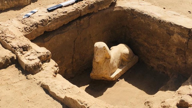 Archäologie: Die Sphinx in ihrem Wasserspeicherbecken.