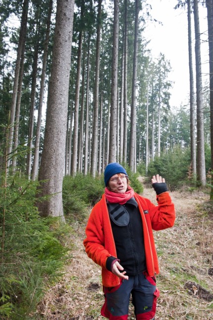 Weltfrauentag Moosach: Sobald der Baum größer ist als der Mensch, wird die Waldpflege anstrengend, sagt die Niederseeoner Revierförsterin.