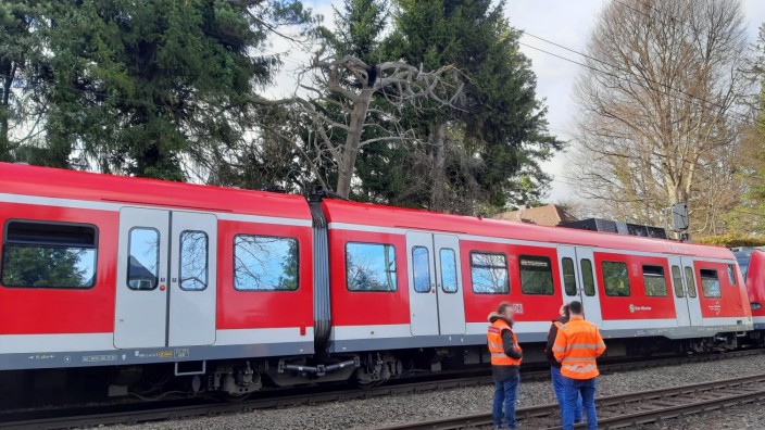 Unfall bei Pullach: In der Nähe des Großhesseloher Isartalbahnhof ist am Donnerstagnachmittag ein Baum auf eine S-Bahn gestürzt.