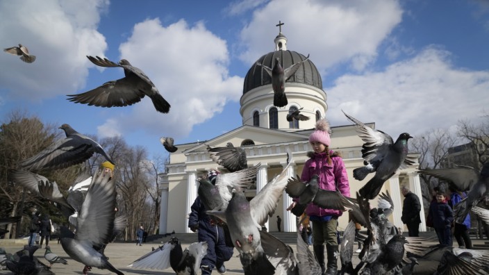 Republik Moldau: Was verstehen diese Tauben in der moldauischen Hauptstadt Chișinău?