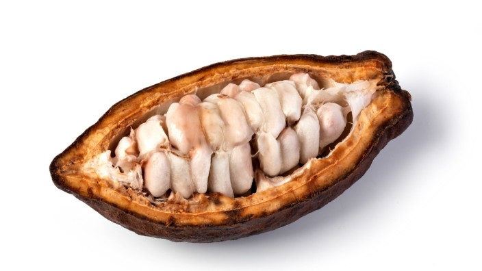 Trendkolumne "In aller Munde": Aus dem weißen Fruchtfleisch der Kakaofrucht kann man ein erfrischendes Getränk machen.