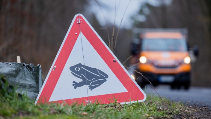 Amphibienwanderung: Im Landkreis wandern die Amphibien. Autofahrer sollten deshalb etwas vorsichtiger fahren.