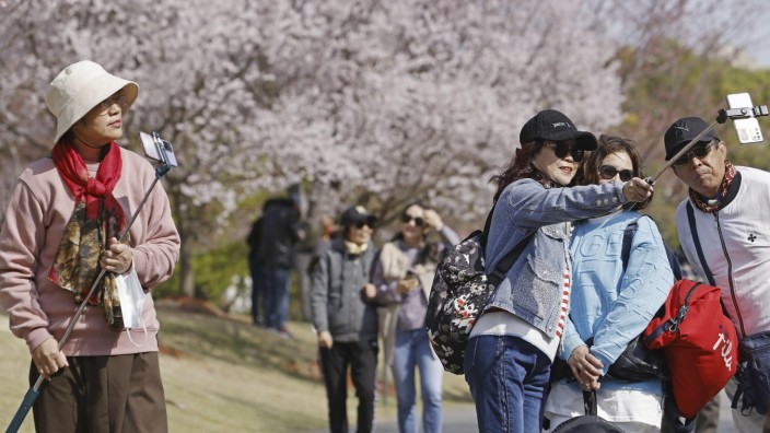China: Touristen fotografieren die blühenden Kirschblüten im Gucun-Park in Shanghai. China lässt nun nämlich wieder ausländische Gäste ins Land.