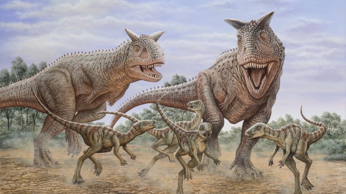 Dinosaurier-Forschung: Zwei Carnotauruse jagen eine Gruppe Gasparinisaura. Manche aufrecht gehenden Dinosaurier hatten so viele Neuronen im Gehirn wie Schimpansen.