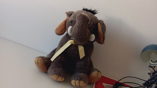 Krieg: Der Elefant war ein Willkommensgeschenk, sitzt nun auf Rezas Schreibtisch und wacht darüber, dass es mit dem Deutschlernen klappt.