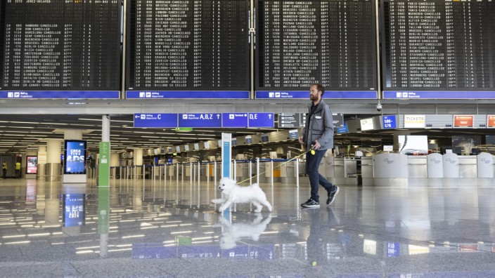 Arbeitskampf: Da sein Flug nach Paris gecancelt wurde, läuft ein Mann mit seinem Hund durch das ansonsten menschenleere Terminal des Flughafens in Frankfurt.